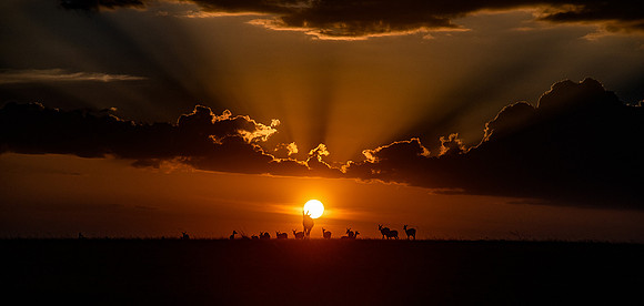 Maasai Mara